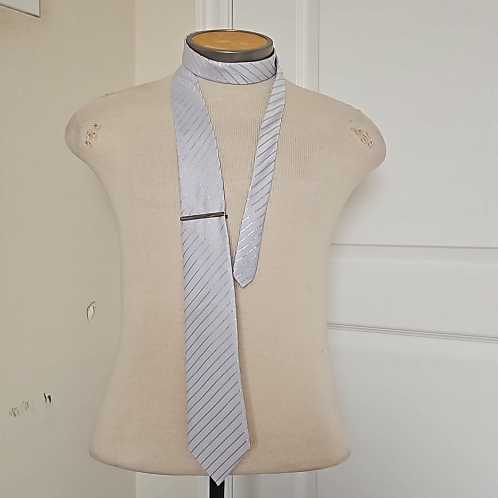 Vettorio Fratini Men's Sparkling Tie With Tie Pin White & Silver